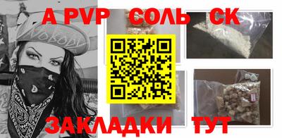 a pvp Кингисепп