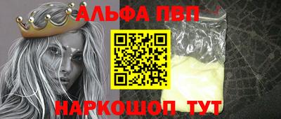 a pvp Кингисепп
